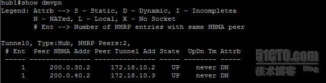 【网络系列七】Dynamic Multipoint Vpn + NAT--Center与Spoke之间动态隧道数据流浅析_nat_27