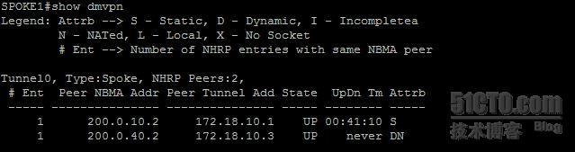 【网络系列七】Dynamic Multipoint Vpn + NAT--Center与Spoke之间动态隧道数据流浅析_Spoke_28