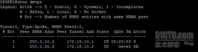 【网络系列七】Dynamic Multipoint Vpn + NAT--Center与Spoke之间动态隧道数据流浅析_nat_29