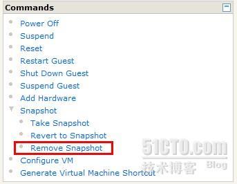 通过converter将VM从VMware Server迁移到 ESXI主机_VMware Server_02