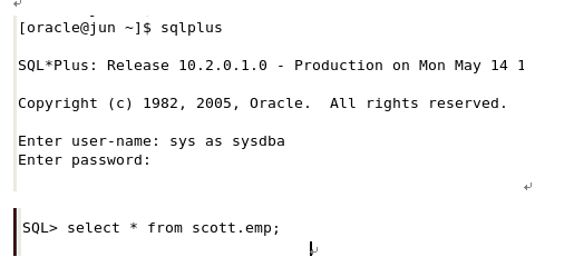 linux下oracle 10 g安装教程_安装_10