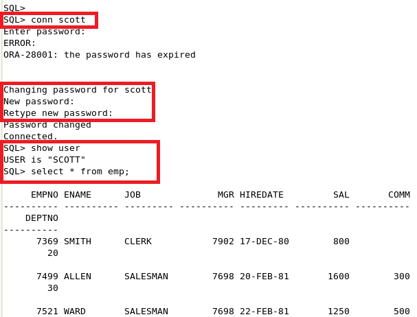  linux下Oracle 10g安装(超级详细图解教程)_oracle 10 g 甲骨文 数据库 _43