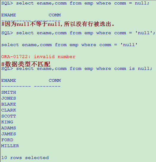 Oracle 10g数据库基础之基本查询语句-上_查询_23