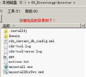 win 平台 GoldenGate Director 安装_GoldenGate Director_12