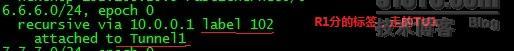 MPLS OVER GRE  +DM××× _DMVPN MPLS VPN _06