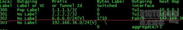 MPLS OVER GRE  +DM××× _DMVPN MPLS VPN _08