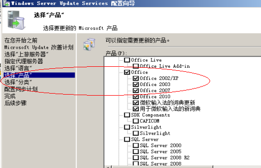 windows 2008 WSUS（1）_r 2_23