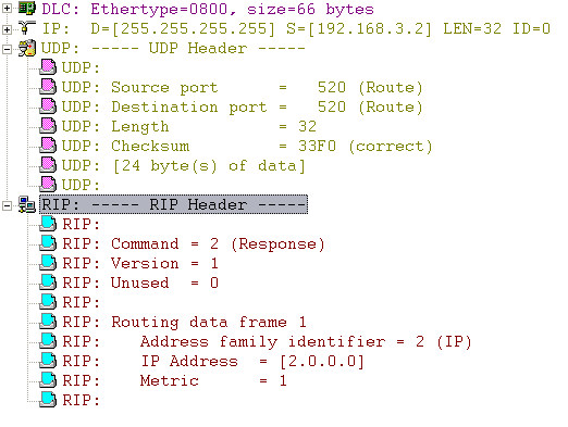 实验1-RIPV1分析_TCP/IP_03