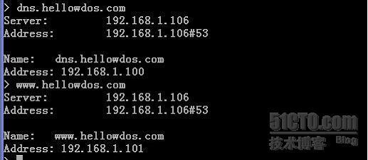 DNS 服务的基本配置_dns服务基本配置  wdOS系统_29