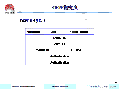 OSPF_的