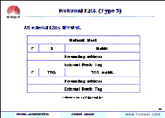 OSPF_路由_14