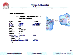 OSPF_路由_17