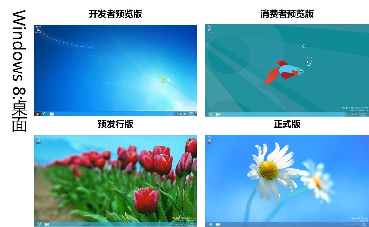 欣赏Windows 8各版本（开发者预览、消费者预览、预发行、正式版）_开发者预览版_04