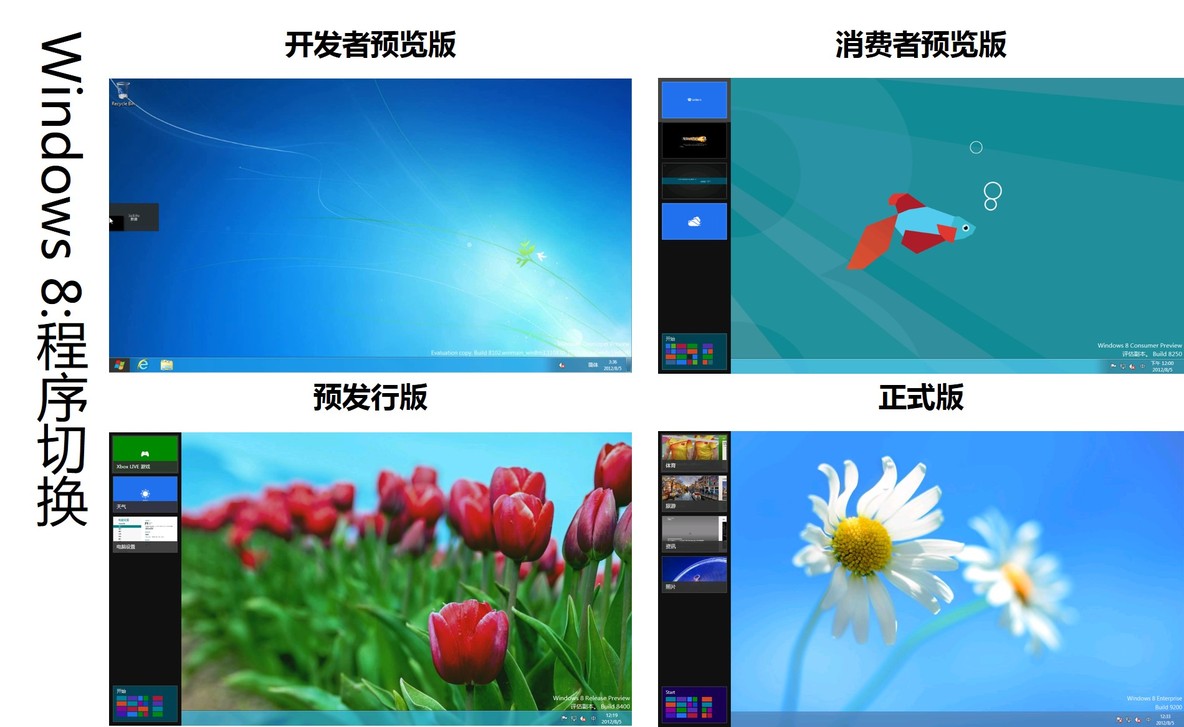 欣赏Windows 8各版本（开发者预览、消费者预览、预发行、正式版）_开发者预览版_06