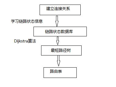 OSPF的基本概念与基本配置_路由表