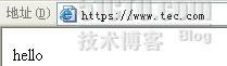 利用https实现站点访问_https_05