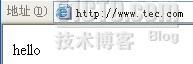 利用https实现站点访问_https_06