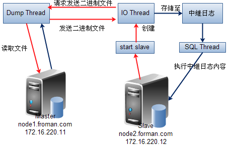 MYSQL主从复制/SSL加密_SSL