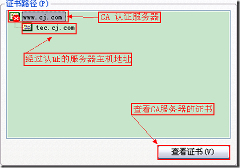 https传输基于多ip实现的网站数据传输_ssl_02