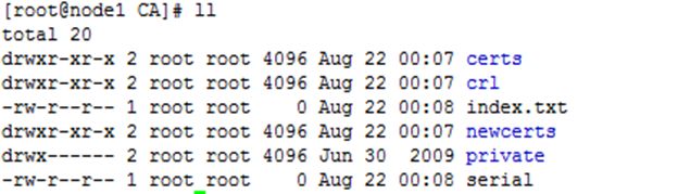 在Linux中实现https访问站点_的_06