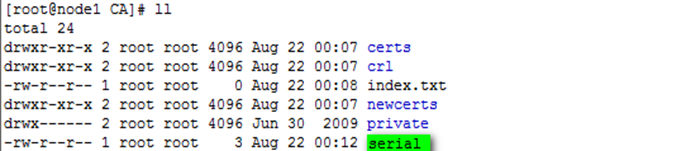 在Linux中实现https访问站点_的_07