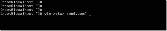Bind 服务器构建_named.conf_04