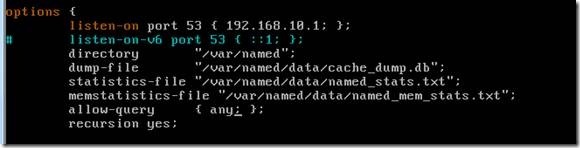 Bind 服务器构建_named.conf_16