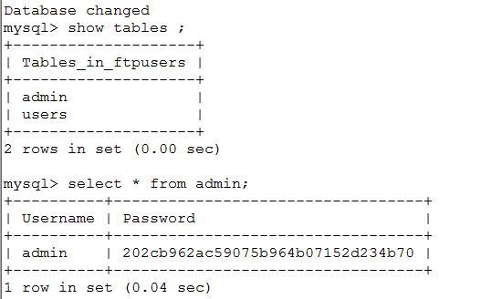 用pure-ftpd搭建ftp服务器_border_03