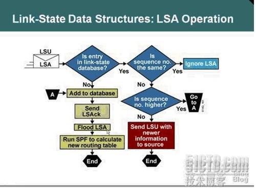 OSPF基础知识_网络