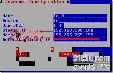 服务器群集与LVS（linux虚拟服务器）模型_LVS-NAT_20