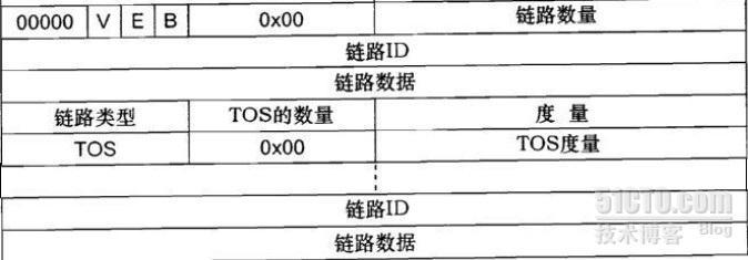 OSPF的路由器LSA包格式_路由器LSA