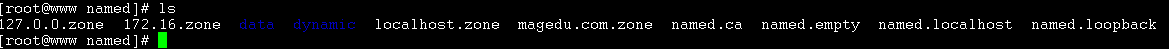 DNS服务器的配置_linux_05