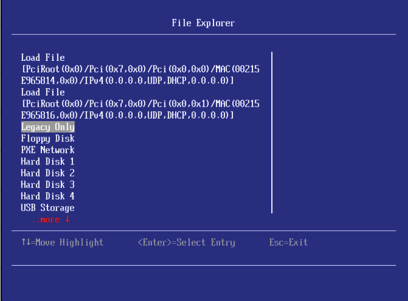 IBM X3850 X5安装xenserver6.0引导失败问题_IBM_07