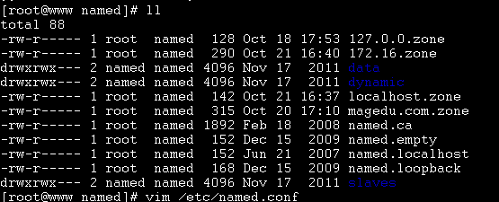 DNS服务器的配置_服务器_10