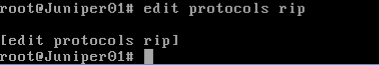 Juniper下的rip配置_Juniper下的RIP配置_08