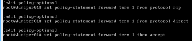 Juniper下的rip配置_Juniper下的RIP配置_11