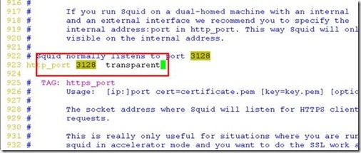 Iptables + L7 +squid 实现防火墙功能_target_15