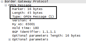 BGP消息格式-头部_BGP
