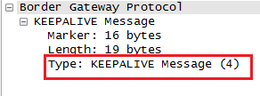 BGP消息格式-keepalive_BGP