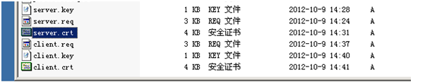 openSSL制作简单的服务器端和客户端证书_服务器端证书_05