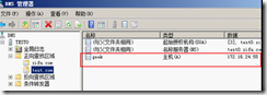 windows server 2008下DNS相关部署（二）_music_11