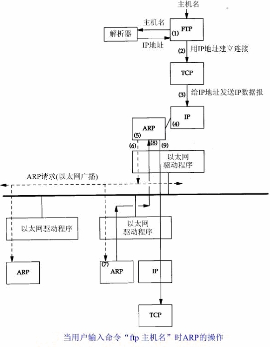 TCP/IP协议之ARP之补充笔记_解析过程