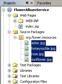 End-to-End Binary SOAP Attachment 2: Creating the Web Service_netbeans_02