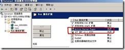 windows下kangle虚拟主机-easypanel配置iis 6.0插件开asp,asp.net空间详细教程_border