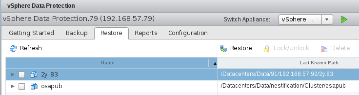 VMware vSphere Data Protection _空间_33