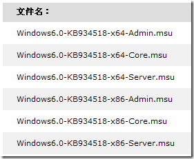 Windows Server 2008 搭建流媒体服务器_服务器_02
