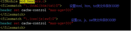 Apache的缓存配置_apache 缓存 基于硬盘_05