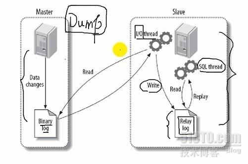 mysql 复制_MYSQL 复制