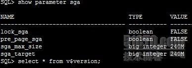 sga 参数_sap系统参数_03