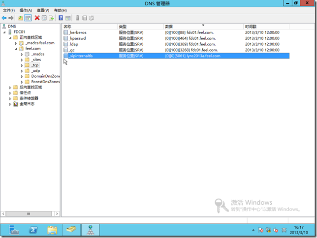 Lync Server 2013企业版部署系列之二：准备DNS_Lync Server 2013企业版部_03